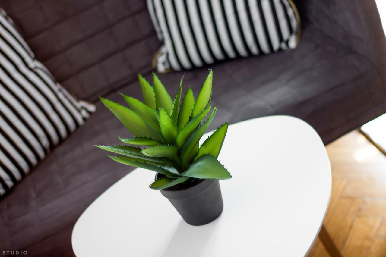 Clicktheflat Chmielna 7 Warszawa